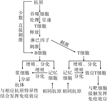 pagenumber_ebook=31,pagenumber_book=24