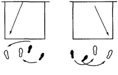 pagenumber_ebook=125,pagenumber_book=118