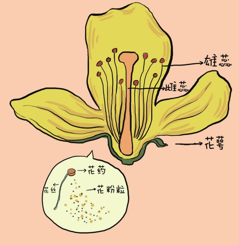 figure_0033_0032