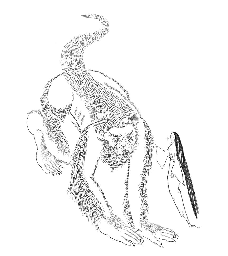 zhang