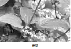 193-1