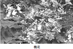230