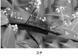 187-1