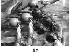 209-2