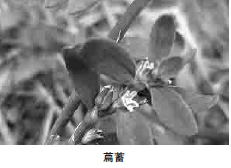 257-2