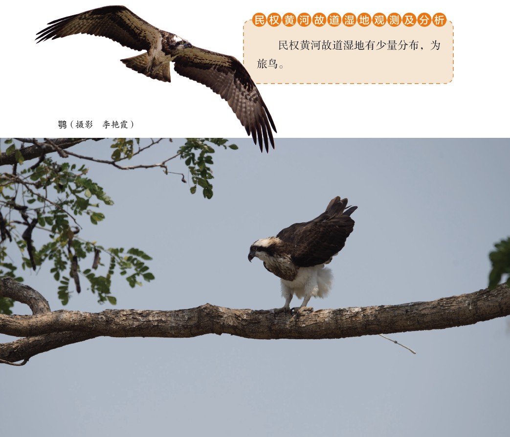 186
