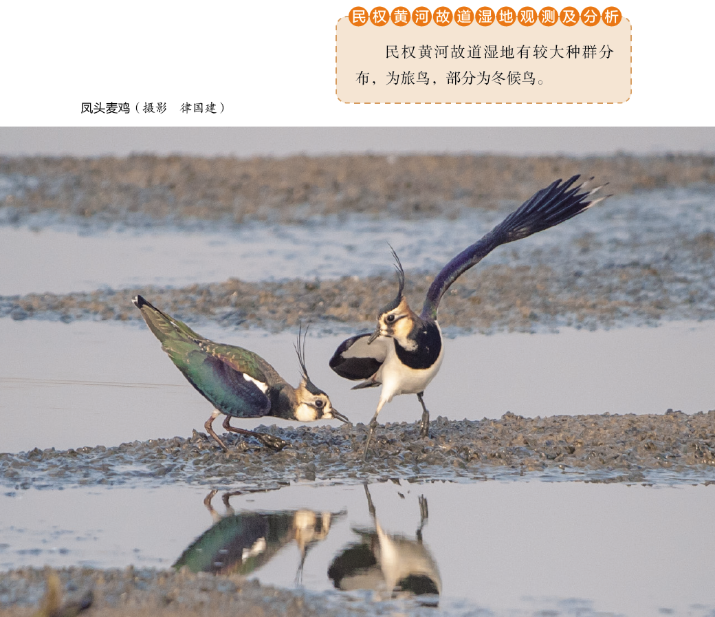 116