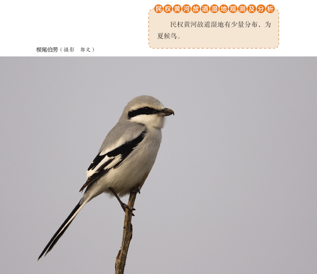230