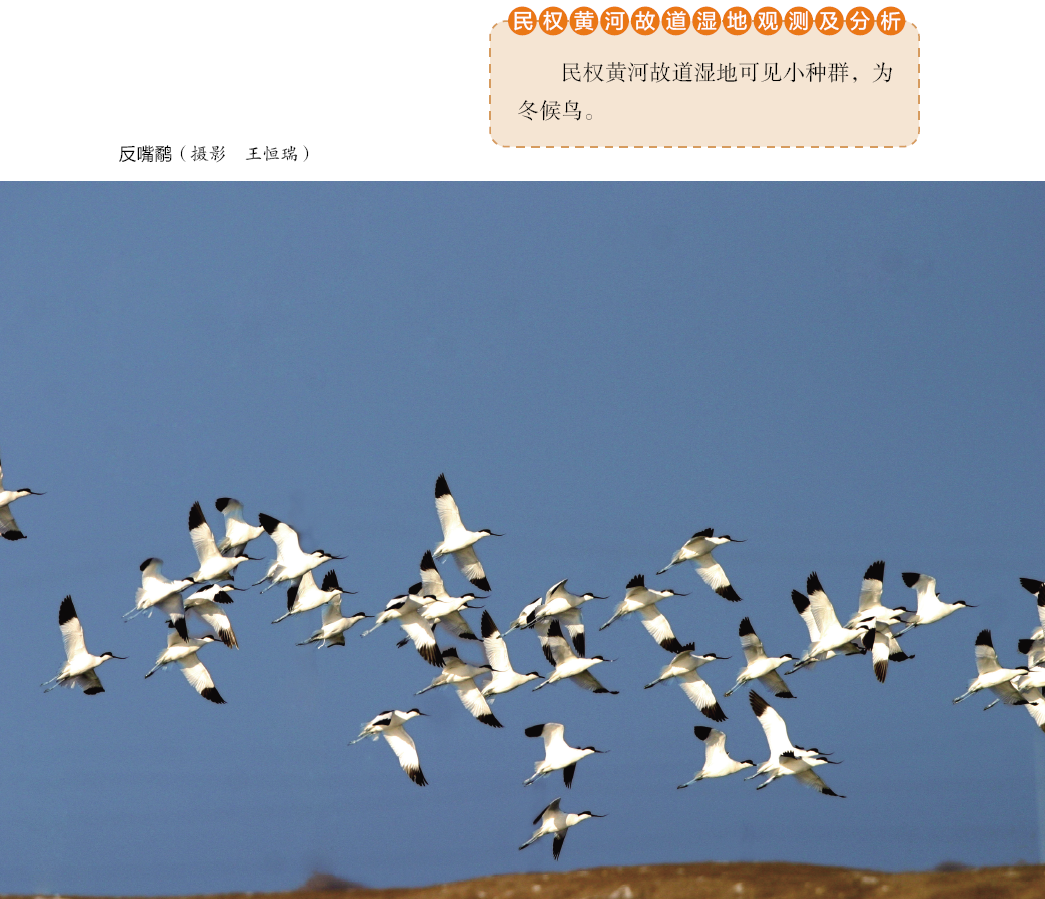 114