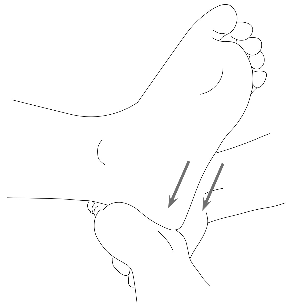 img454