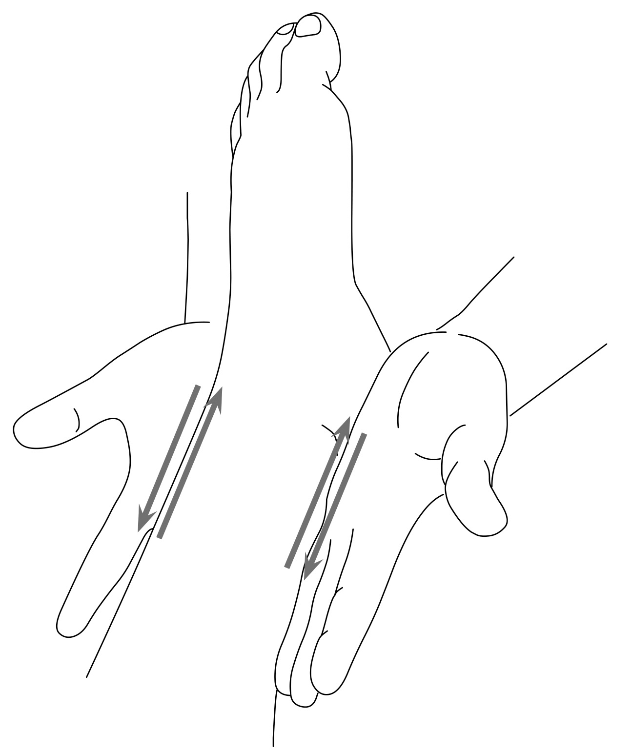 img455