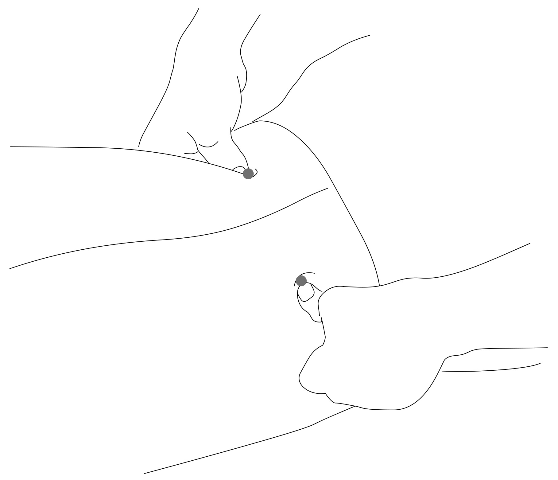 img210