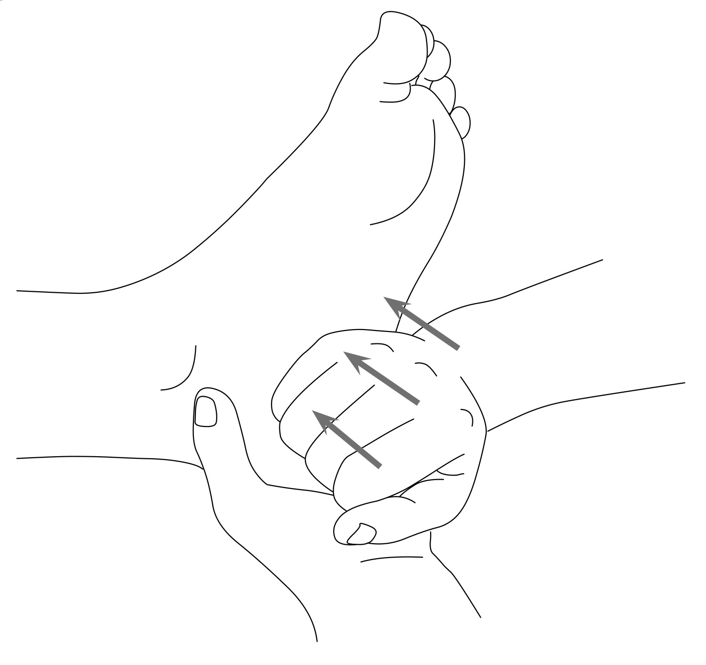 img456