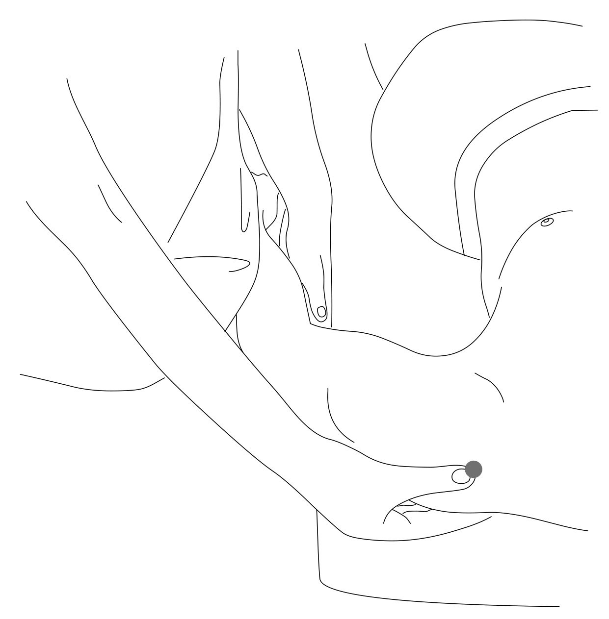 img71