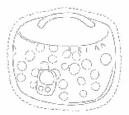 img200