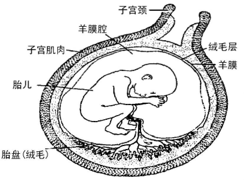 img75