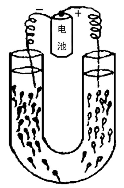 img42