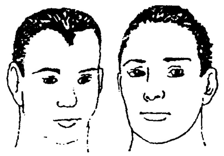 img12