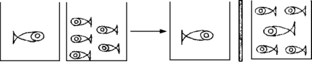 img40