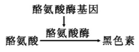 img25