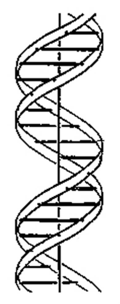 img22