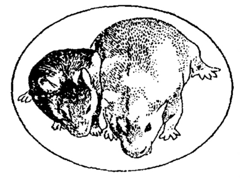 img73