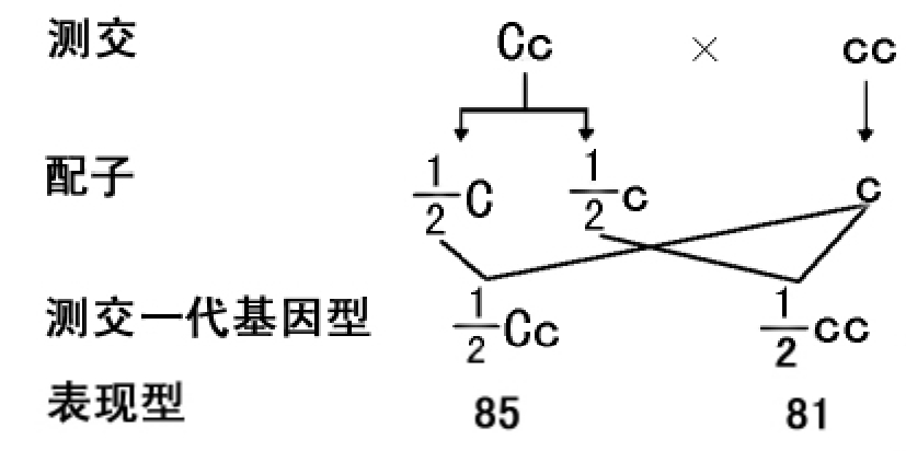 img7