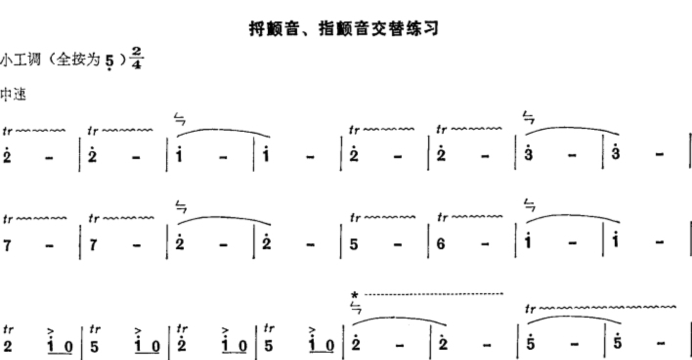 img256