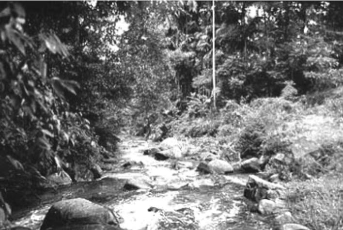 img20