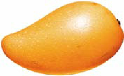 img205