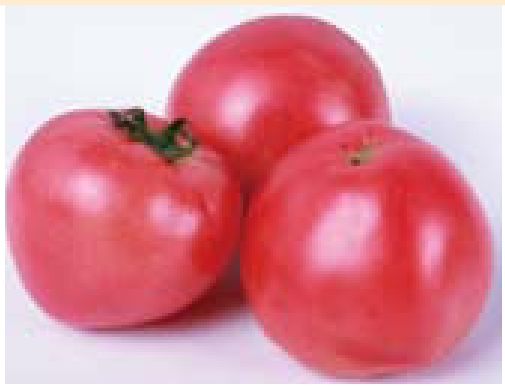 img269