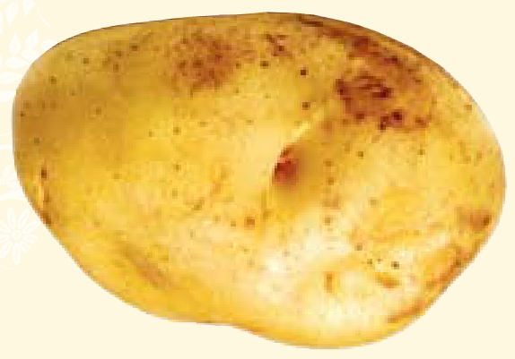 img259