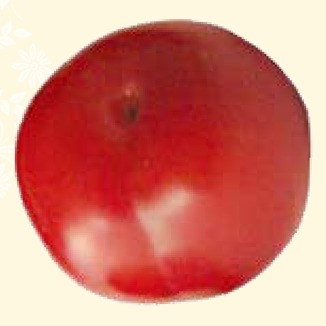 img355