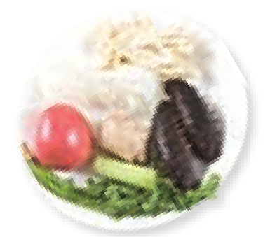 img989