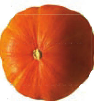 img260
