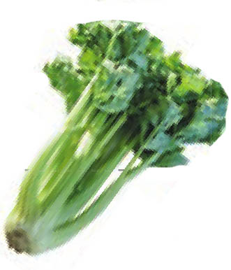 img289