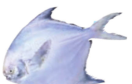 img766