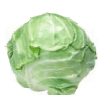 img168
