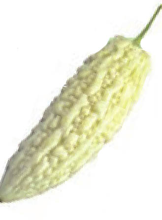 img190
