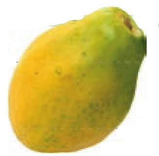 img254