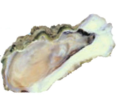 img978