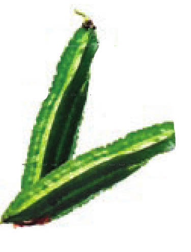 img351