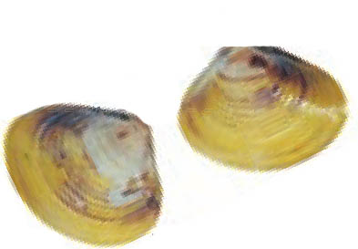 img952