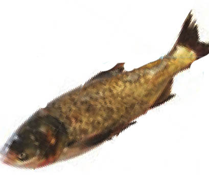 img882