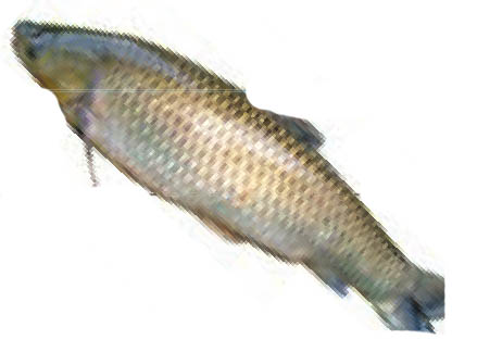 img760