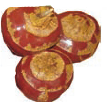 img20