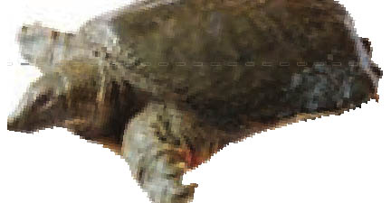 img1083