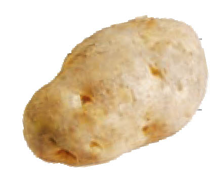 img374