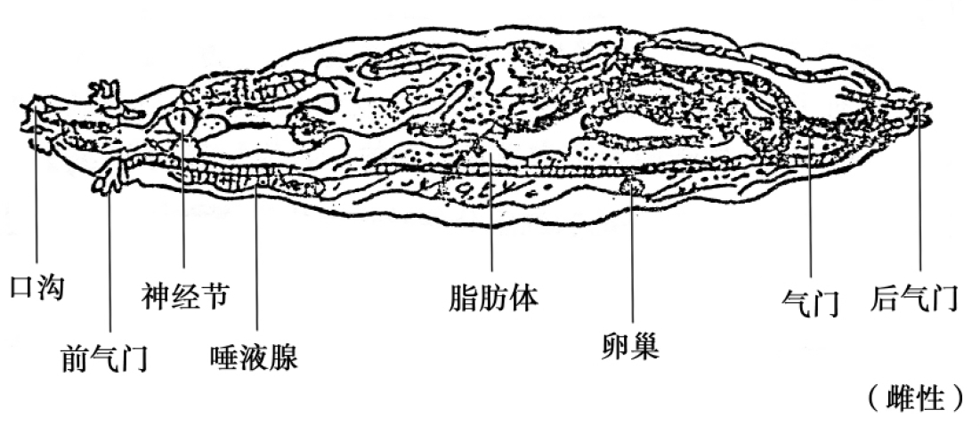 img46