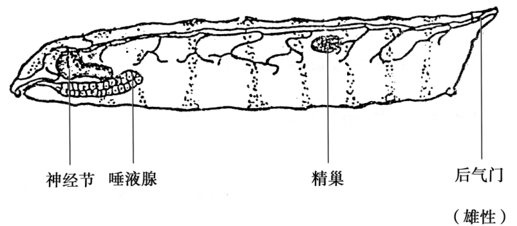 img45